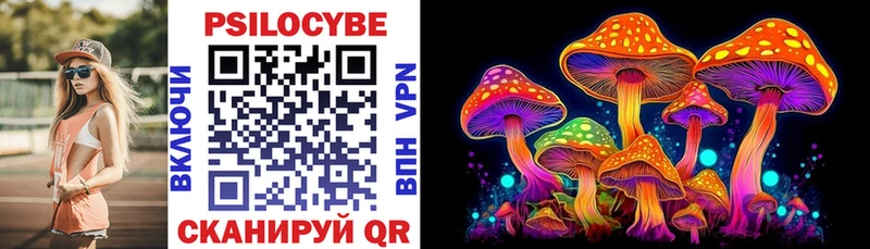 Галлюциногенные грибы Psilocybine cubensis купить цена Горячеводский